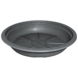 Sottovaso Montana per Vasi da Giardino