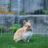 Outdoor enclosure with escape barrier with 2 doors