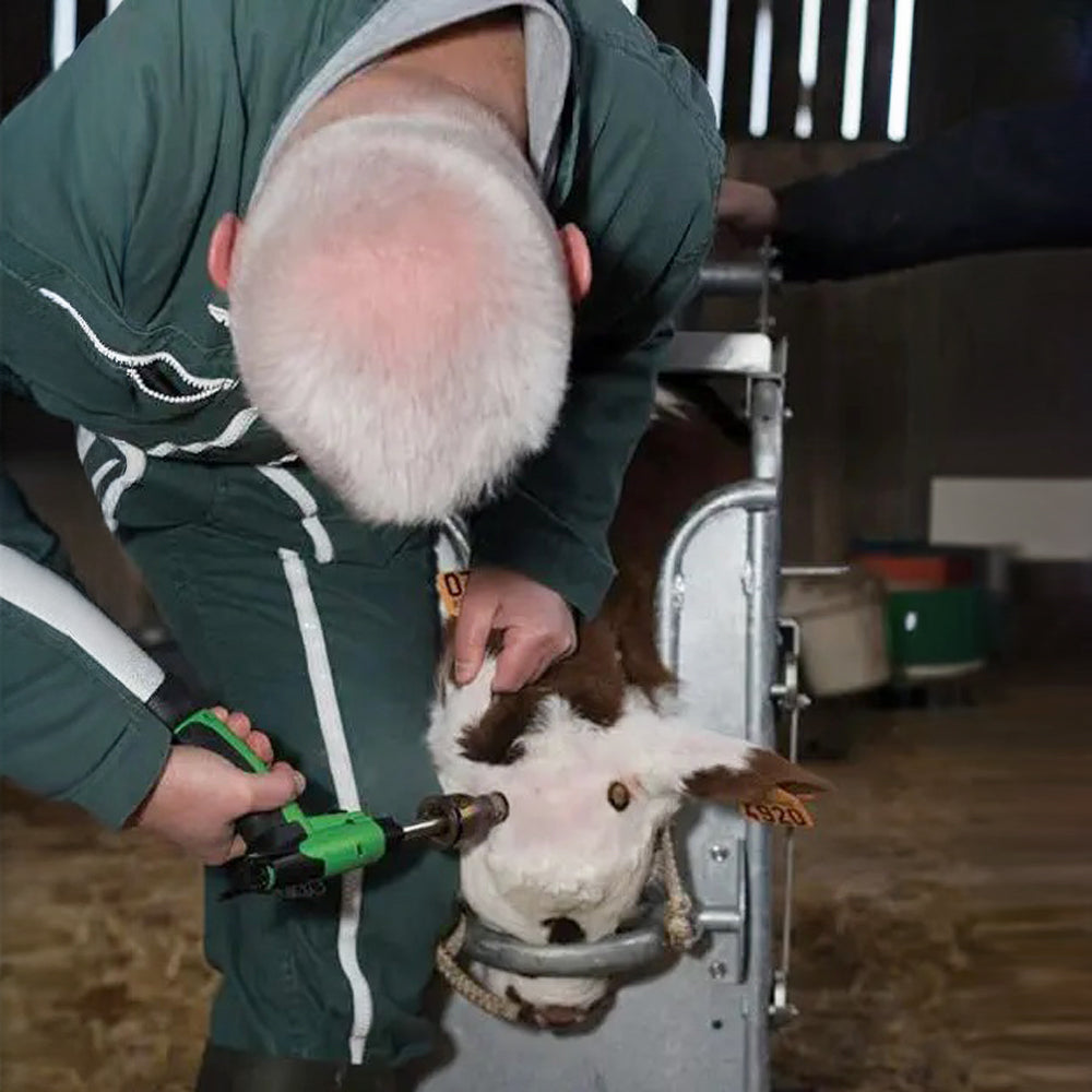 Arkos Gas Dehorner Accessories - for Calves