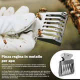 Pinza regina in metallo per ape