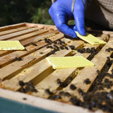 Thymovar strisce per il trattamento estivo contro la Varroa - 2 x 5 piatti