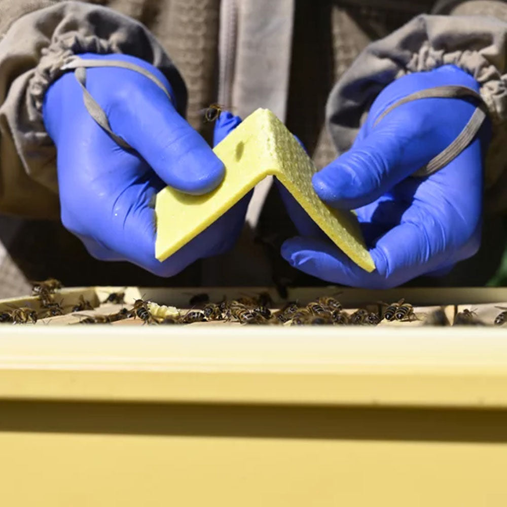 Thymovar strisce per il trattamento estivo contro la Varroa - 2 x 5 piatti