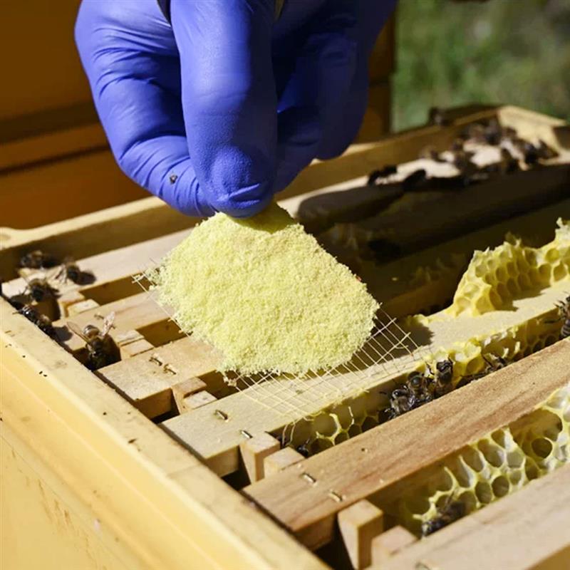 Thymovar strisce per il trattamento estivo contro la Varroa - 2 x 5 piatti