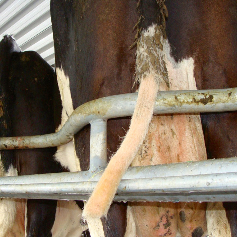 Trimmer per Coda di Bovini TailWell