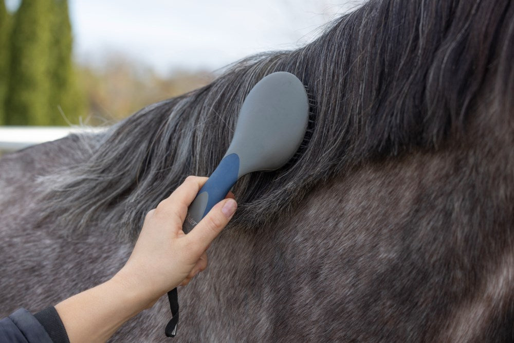 Horse mane and tail brush