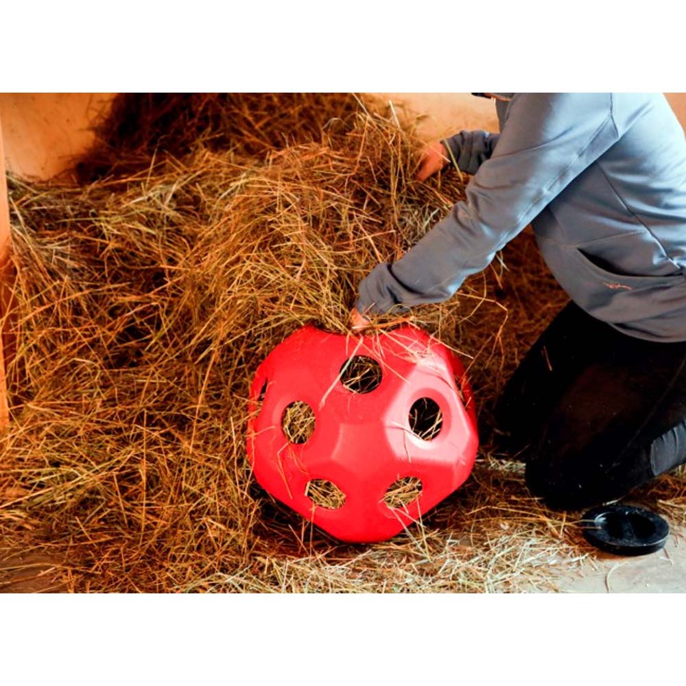 A toy ball for livestock to eat