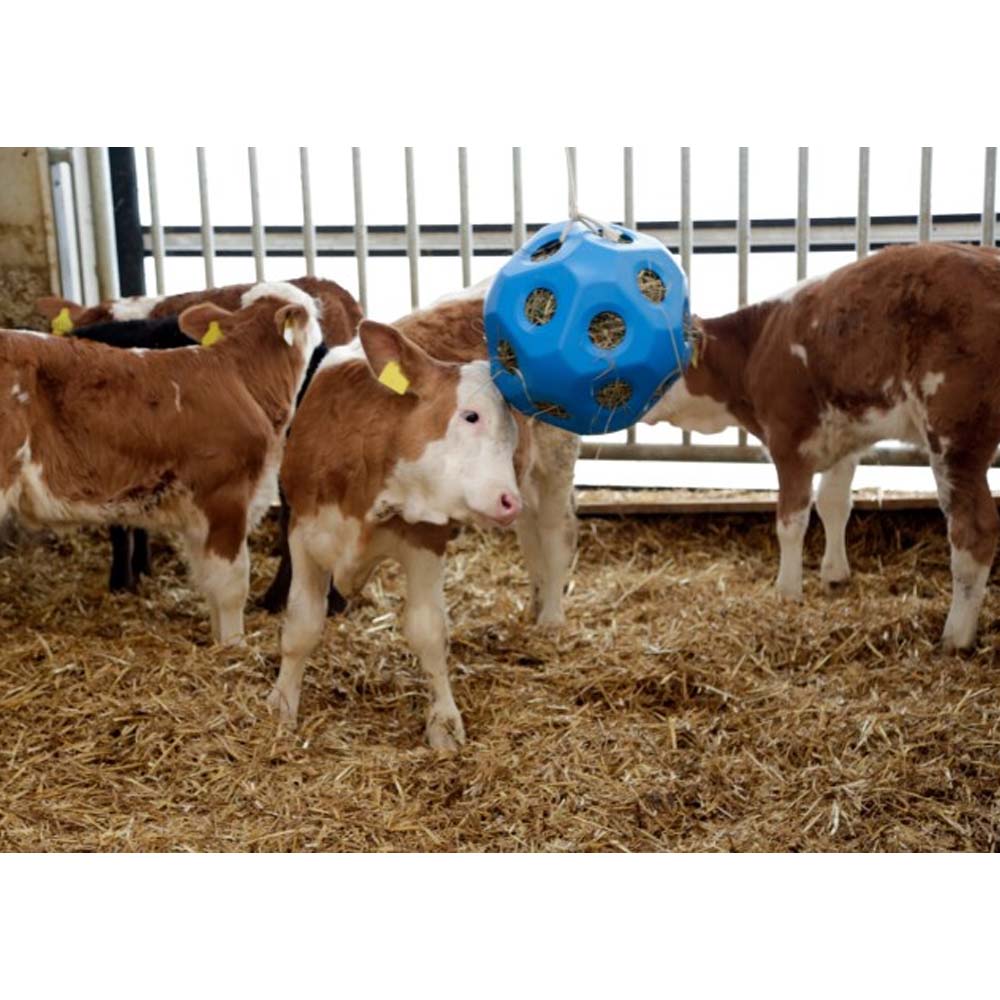 A toy ball for livestock to eat