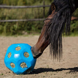 A toy ball for livestock to eat