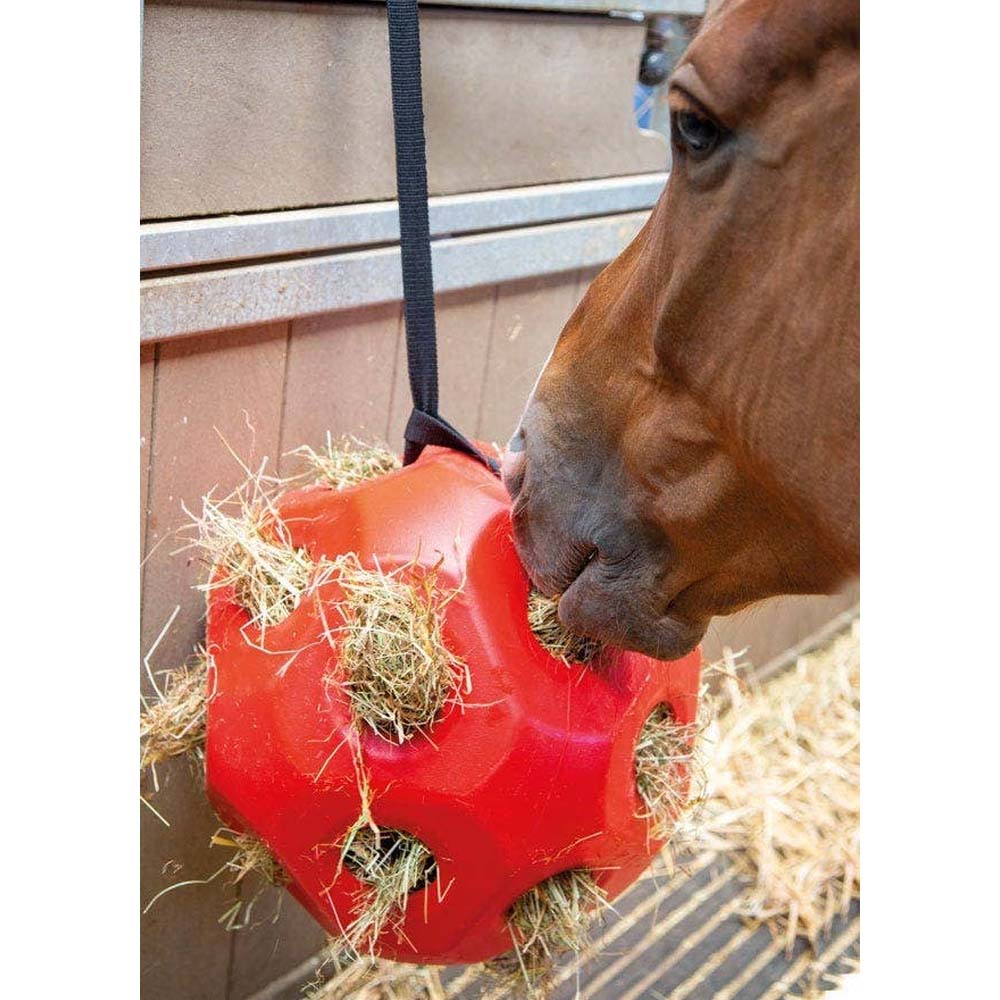 A toy ball for livestock to eat