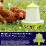 Plastic Poultry Feeder with Legs (Lemon Green)