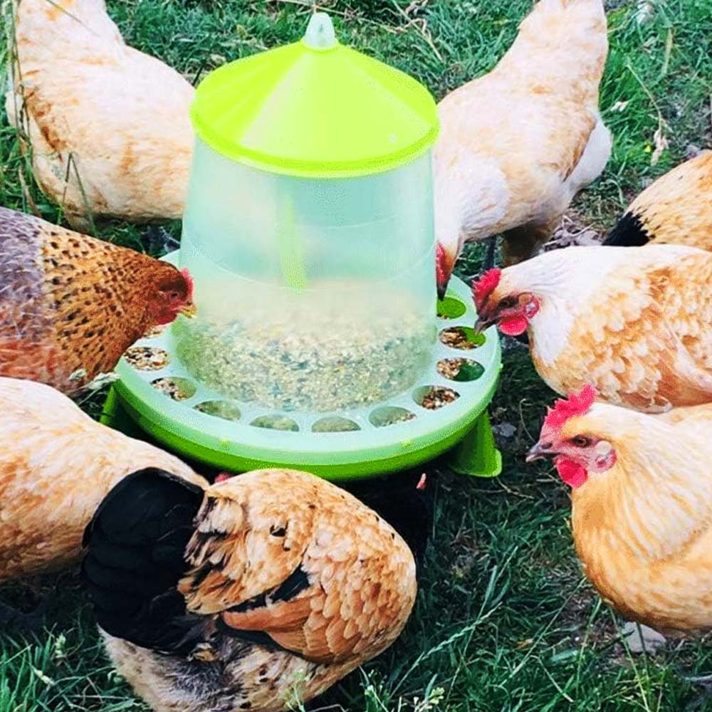 Plastic Poultry Feeder with Legs (Lemon Green)