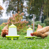 Plastic Poultry Feeder with Legs (Lemon Green)