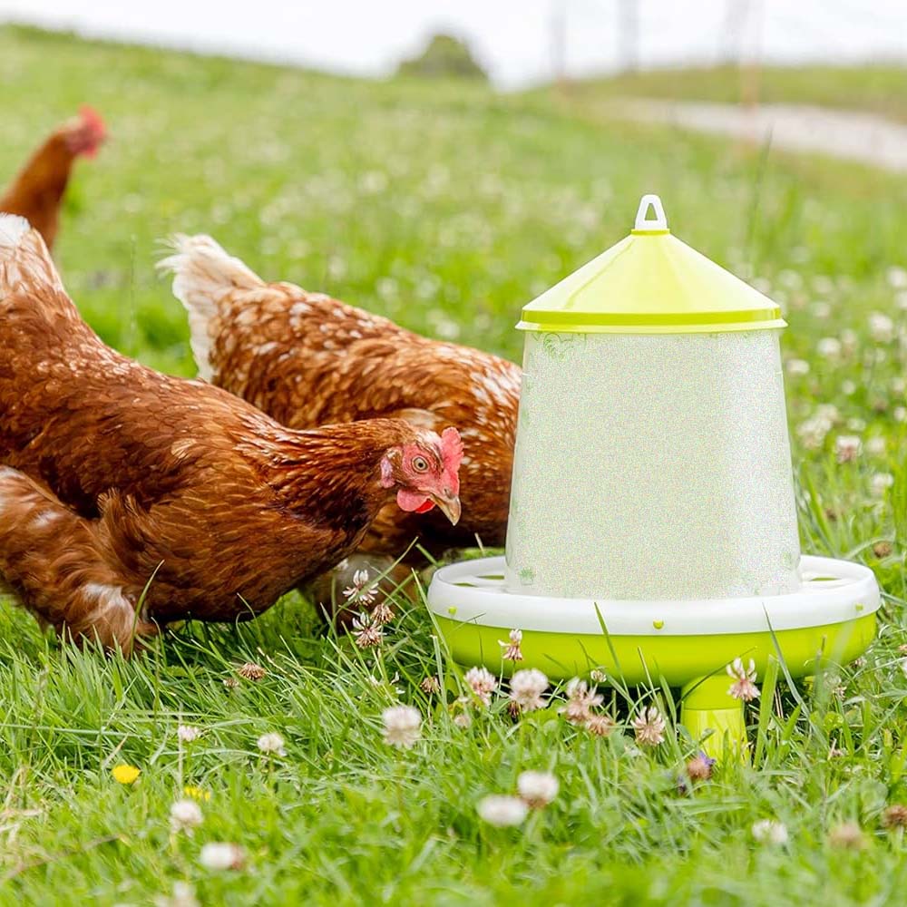 Plastic Poultry Feeder with Legs (Lemon Green)