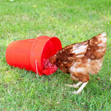 6 liter poultry waterer bucket