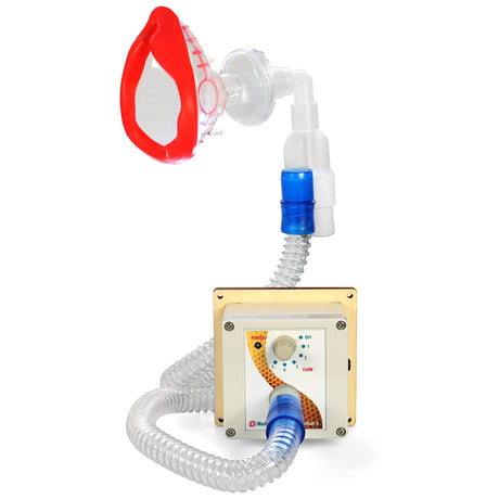 ApiSina® inalatore d'aria alveare