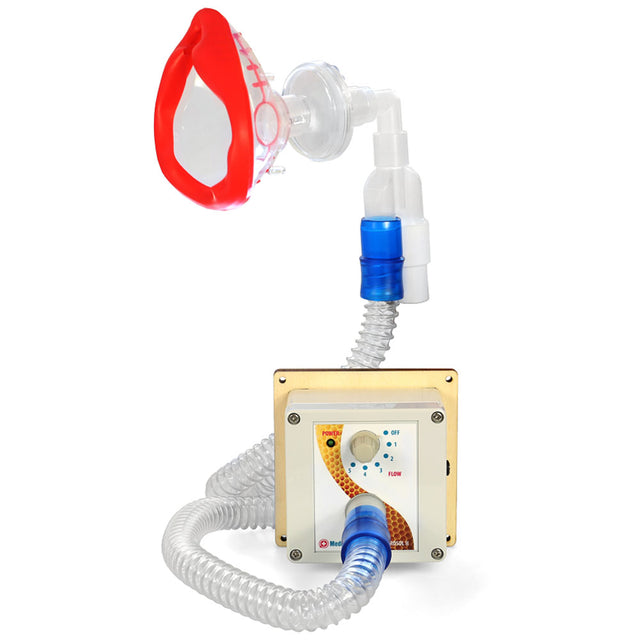 ApiSina® inalatore d'aria alveare