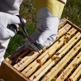 Apilife VAR 2 panels Waterproofing Strips for Honey Bee Hives