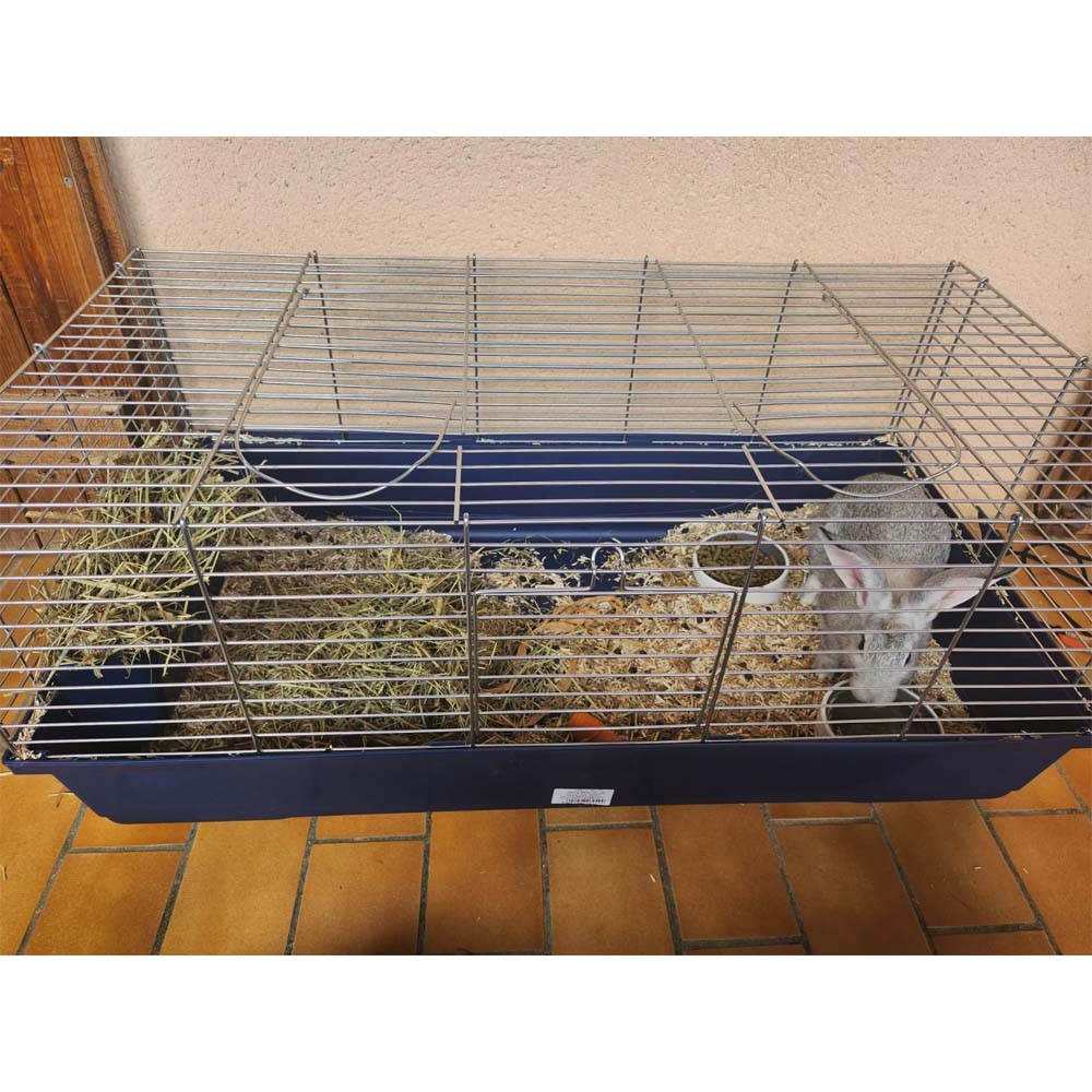 Small animal cage baldo cage