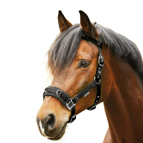 Pony halter