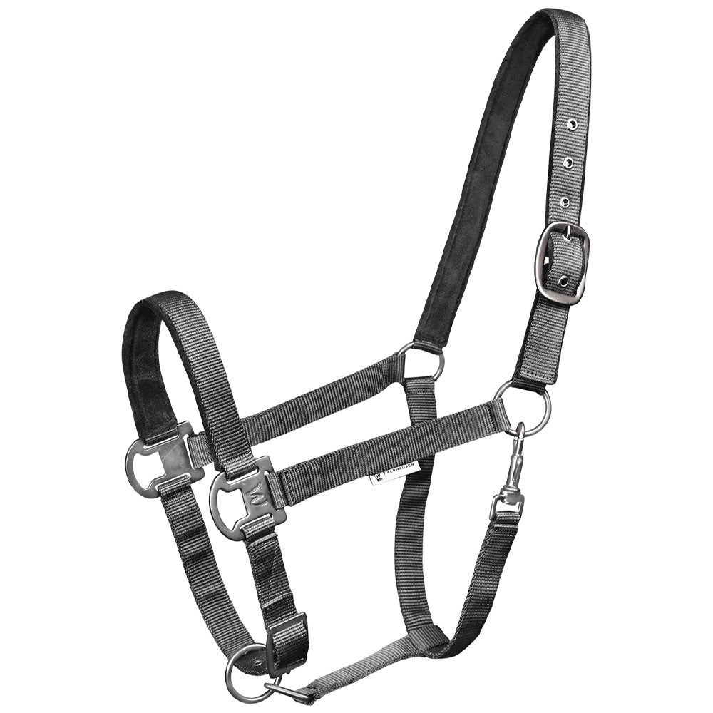 Capezza Gloomy regolabile con fibbia nera