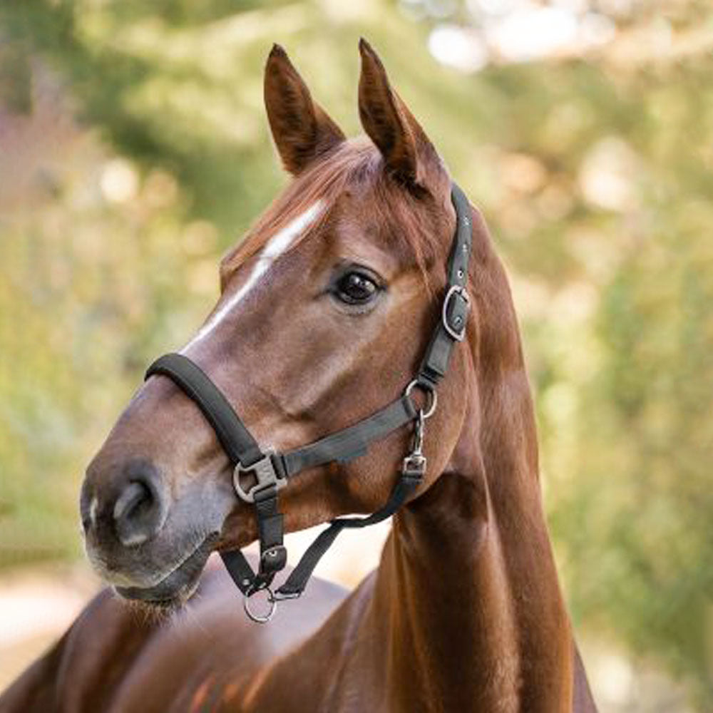 Capezza Gloomy regolabile con fibbia nera