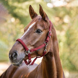 Capezza Gloomy regolabile con fibbia nera