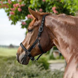 Capezza Gloomy regolabile con fibbia nera