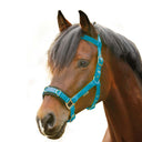 Pony halter