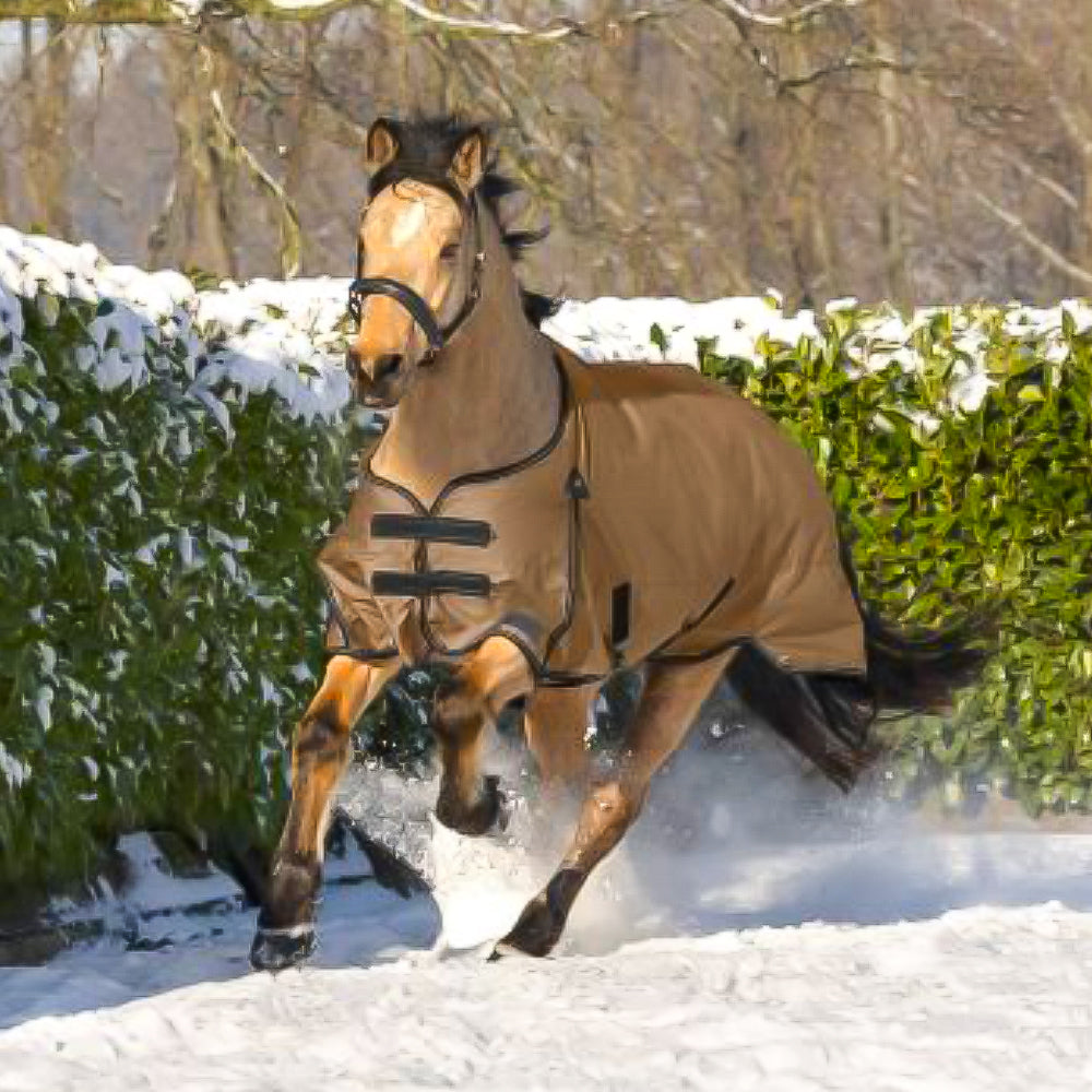 Outdoor ARCTIC 200g blanket for Horse