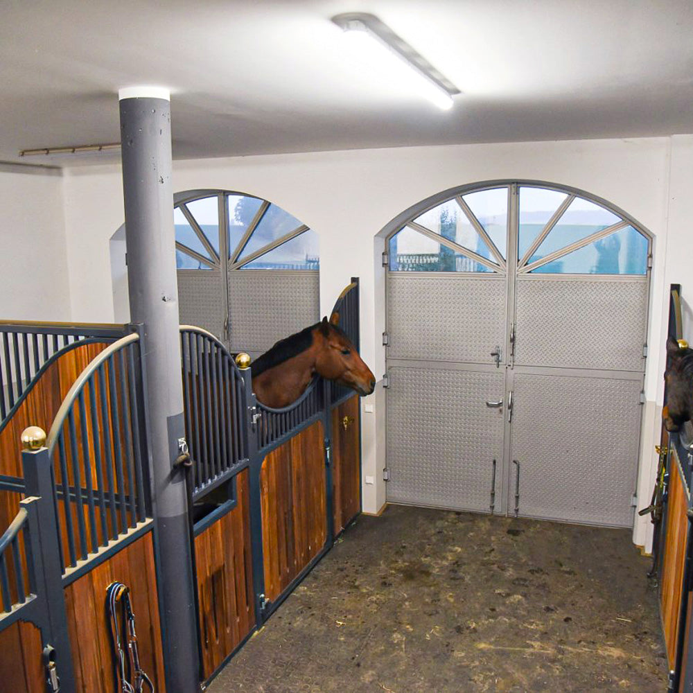 Videosorveglianza per Stalle IPCam 360 FHD - Telecamera di Sorveglianza per Stalla e Cortile