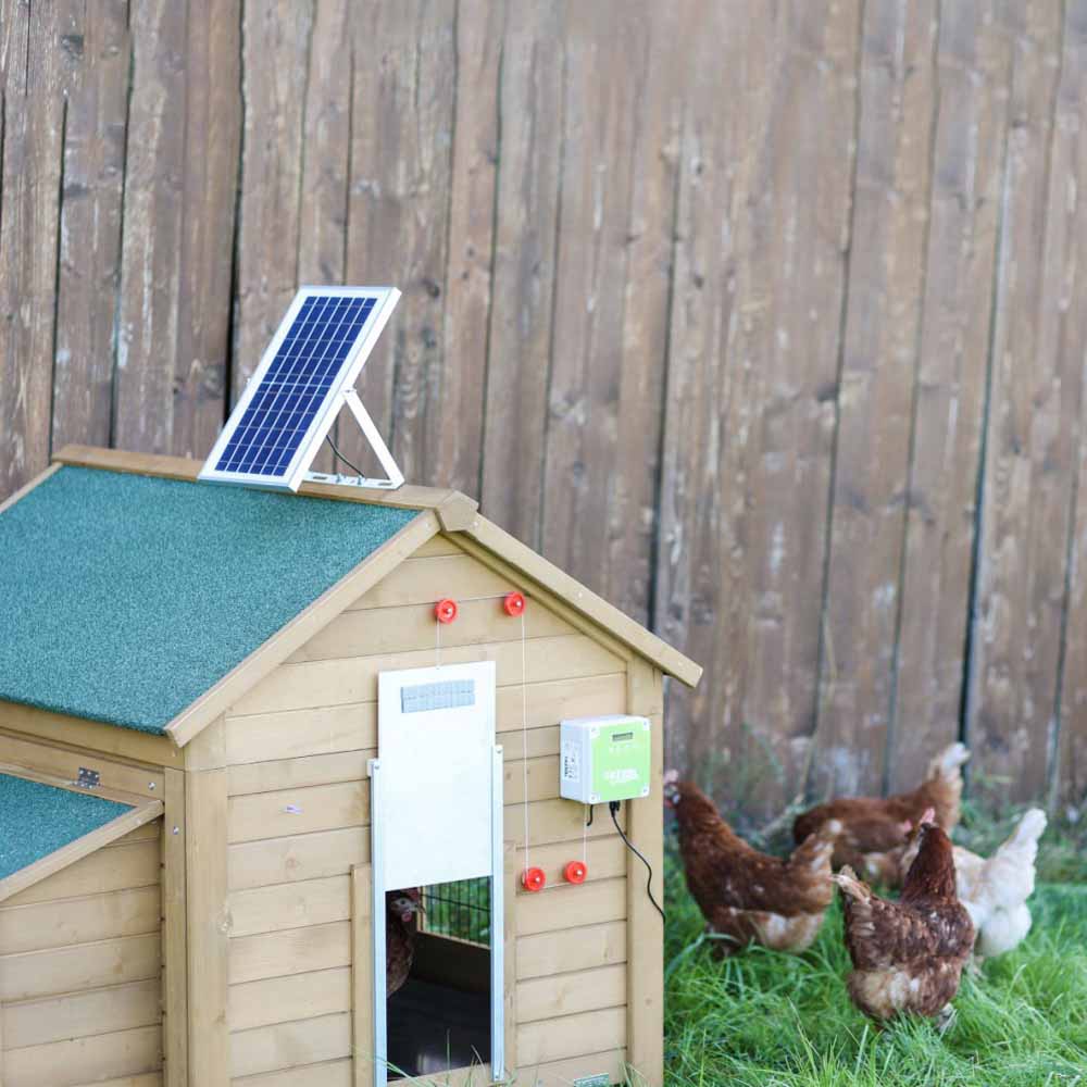 Set solare per porta automatica del pollaio affidabile