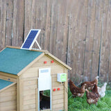 Set solare per porta automatica del pollaio affidabile