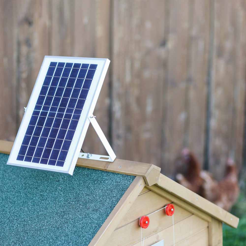 Set solare per porta automatica del pollaio affidabile