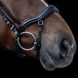 Snaffle Newshap Bridle Black WB