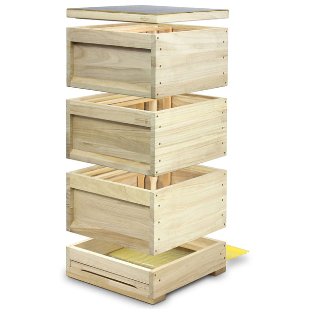 Arnia Compatta Liebig DN a 10 Telaini con Fondo Alto