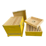 Cube hive with 10 nest frames, honeycomb cover and roof