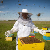 Cube hive with 10 nest frames, honeycomb cover and roof