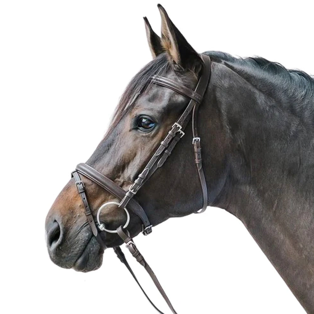 Capezza star briglia lifestyle per cavalli
