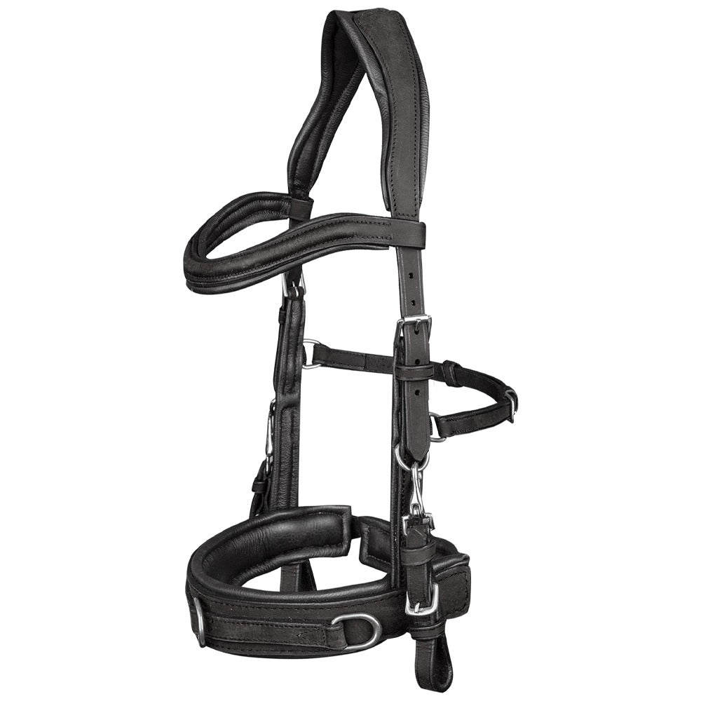 Anatomic Leather Cavesson
