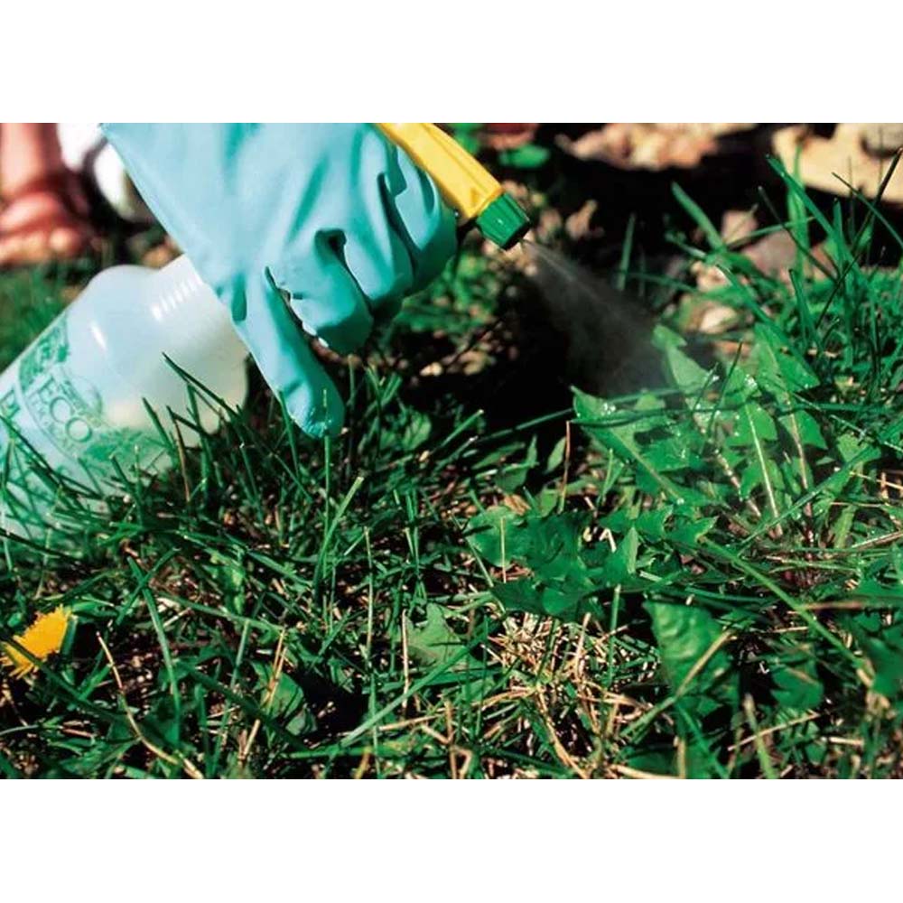 Chemikalienbeständige Handschuhe Showa 730 aus Nitril mit Baumwollfutter