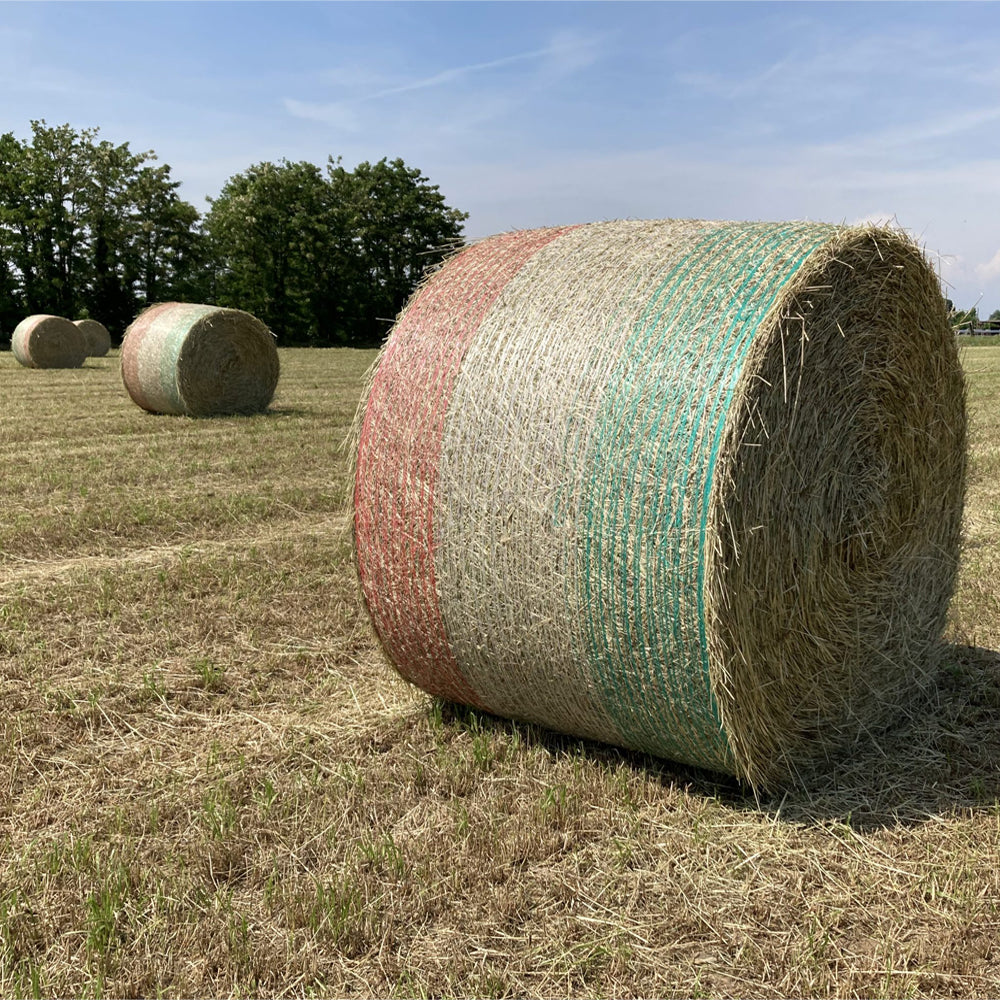 Rete per balloni Winner 1,23x2850m