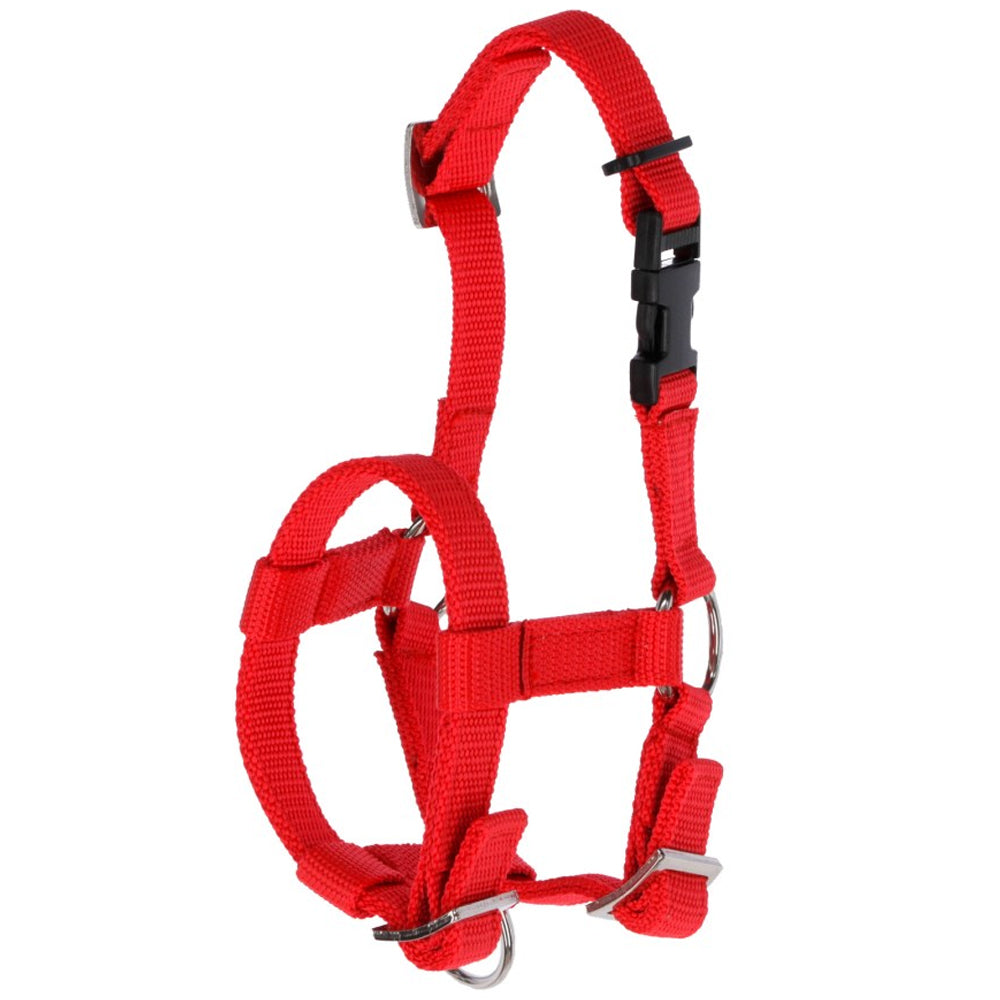 Cavezza Regolabile e Confortevole per Alpaca e Pecore