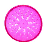 Toyfastic Frisbee Hundespielzeug 23,5 cm