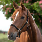 Capezza in perlon morbida con fibbieria satinata e sovracapo regolabile