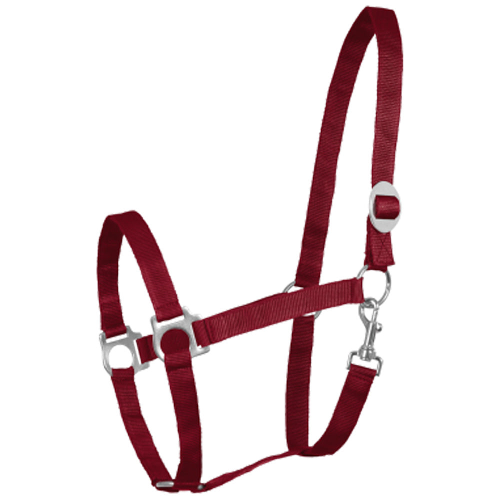 Capezza in perlon morbida con fibbieria satinata e sovracapo regolabile