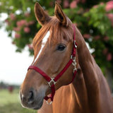 Capezza in perlon morbida con fibbieria satinata e sovracapo regolabile