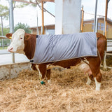 Coperta termica impermeabile per mucche