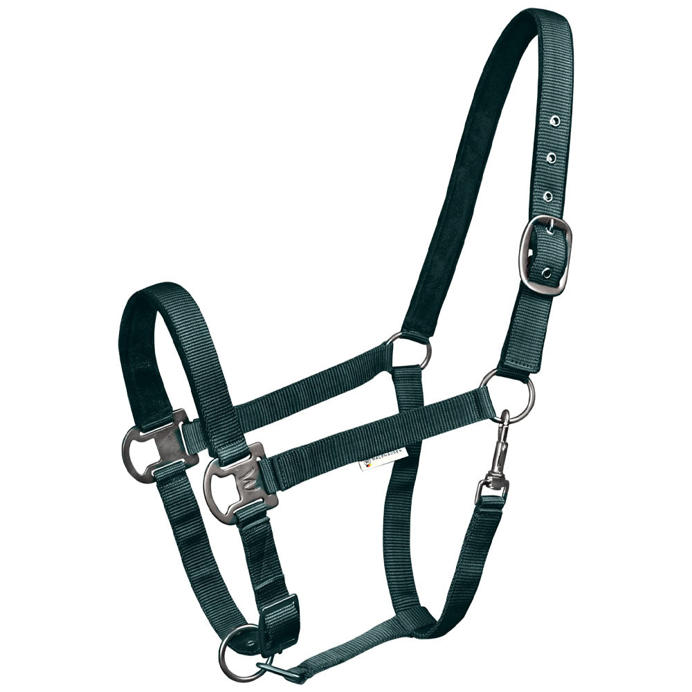 Capezza Gloomy regolabile con fibbia nera