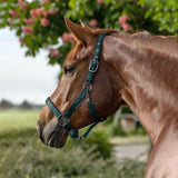 Capezza Gloomy regolabile con fibbia nera