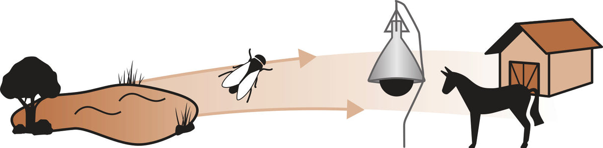 Trappola TaonX per Tafani – Efficace e Atossica